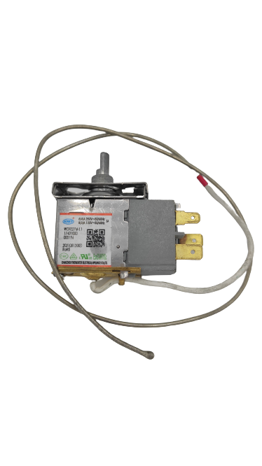 Termofusivel Frigorifico Candy Hoover - 49122693