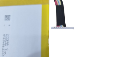 Classmate PC Leap T304 SF20GM 4000mAh portable battery - SF20GM-2S4000-B1T2